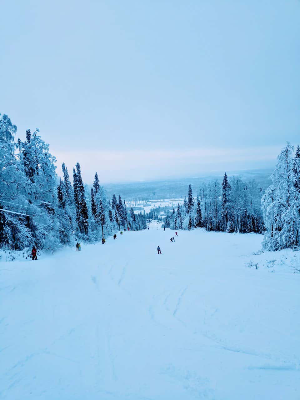 image of Завьялиха